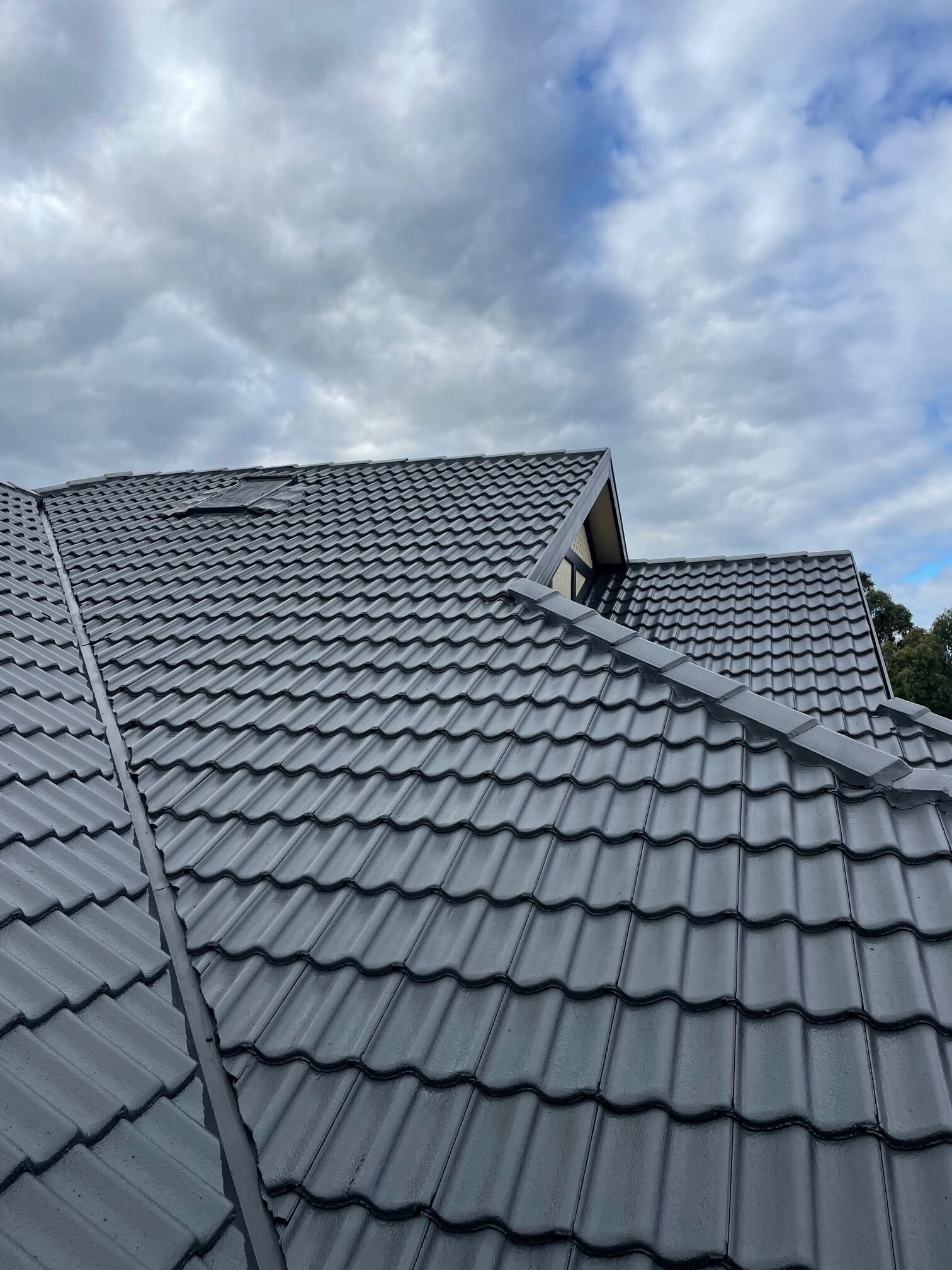 Roof painting Sunshine Coast